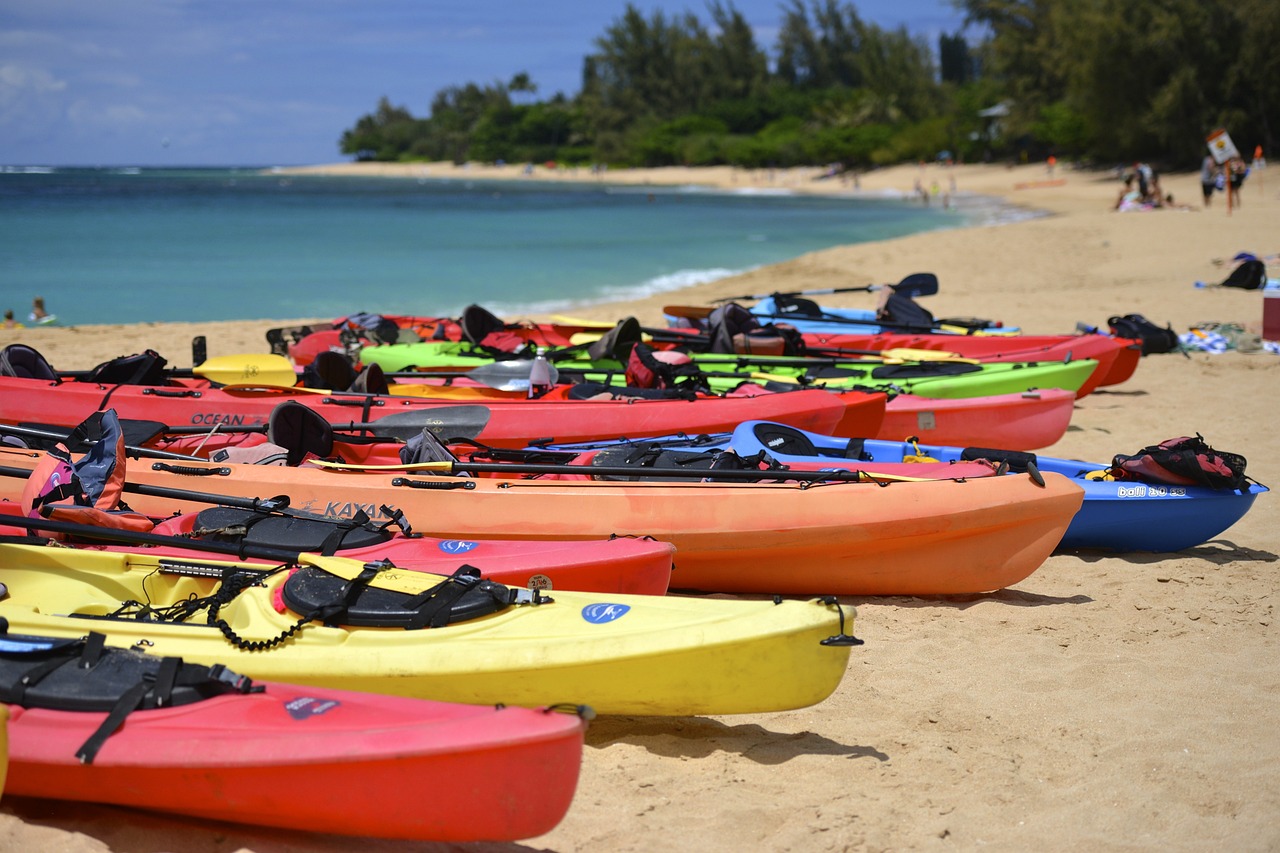 kayaks au bord de l'eau
