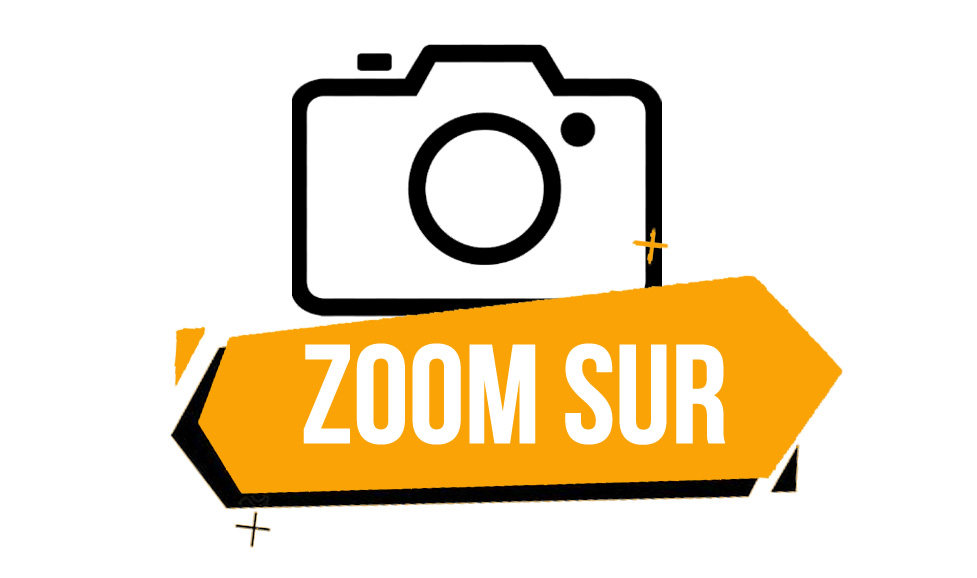 Logo "Zoom sur"