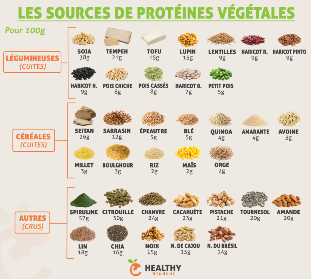 Liste des sources de protéines végétales, pour aider les enfants à composer leur menu en colo.